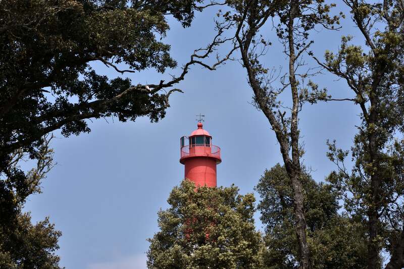 2018.05.08 Village de Hiers-Brouage et de St-Palais sur Mer (Charente-Maritime) 2