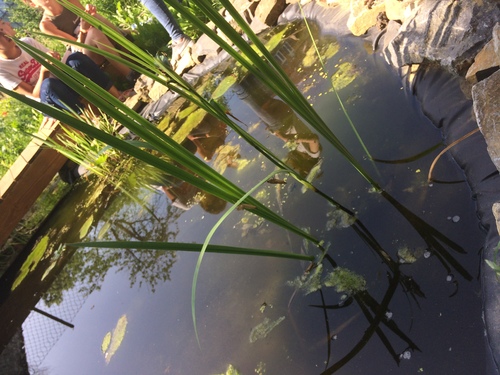 La récréation dans le jardin... Un vrai plaisir...