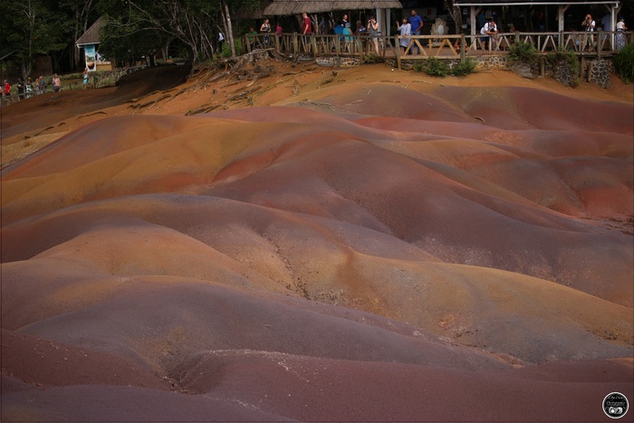 Île Maurice, Chamarel, terre des 7 couleurs