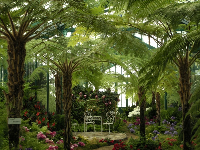 Serres Royales de Laeken