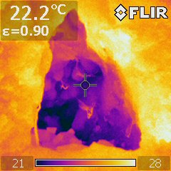 Thermographie : tests d'été 1 - IR3