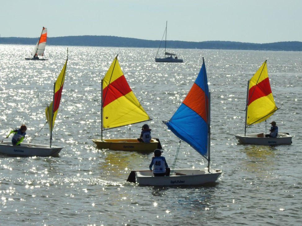 Voiles en liberté 2024 à Andernos - Régate d'Optimists...