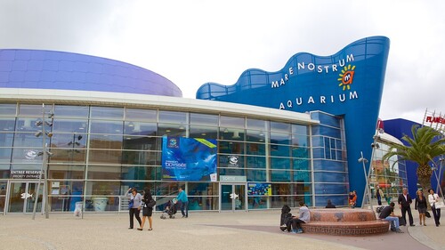 Mare Nostrum, l'aquarium de Montpellier