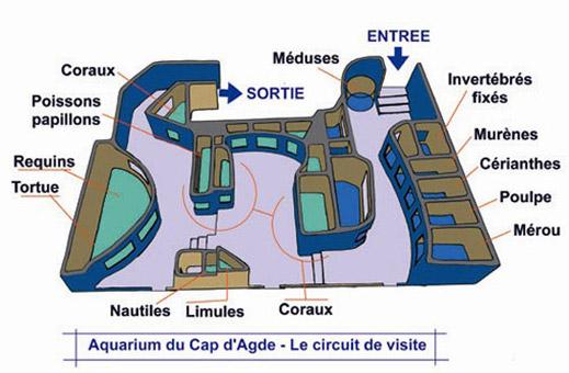 Aquarium du Cap d'Agde - Languedoc Power