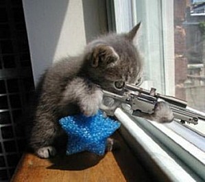 chat fusil