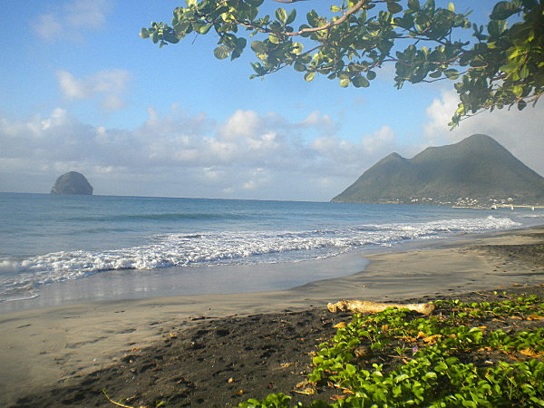 Madinina 2011 1813