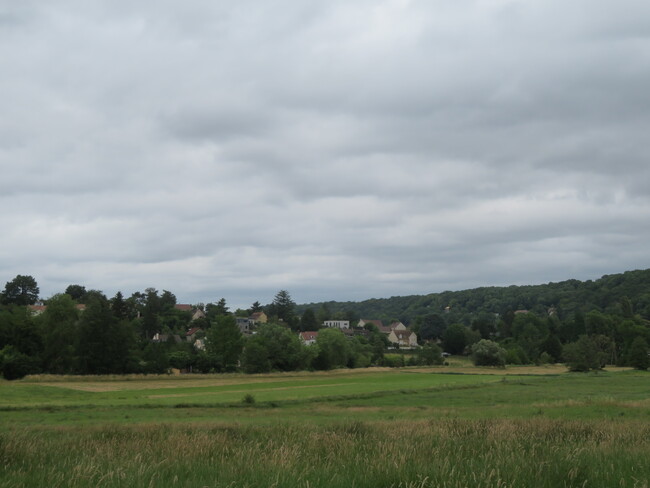  Randonnée dans la Haute Vallée de Chevreuse jusqu'à Rambouillet - 27 juin 2020 (101 km)