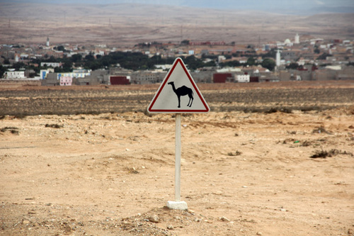 De Zagora à Sidi Ifni