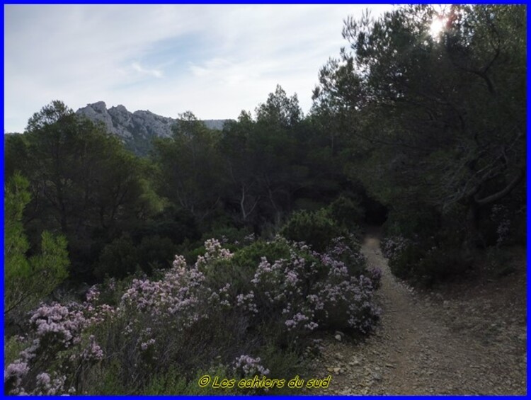 Calanques, le belvédère céleste de Titou Ninou