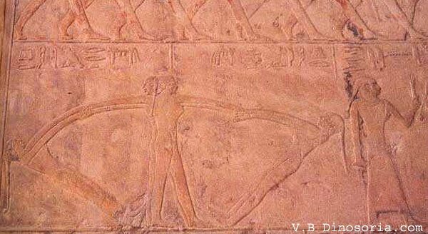 Egypte ancienne. Jeux de filles