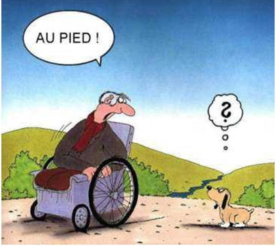 Afficher l'image d'origine