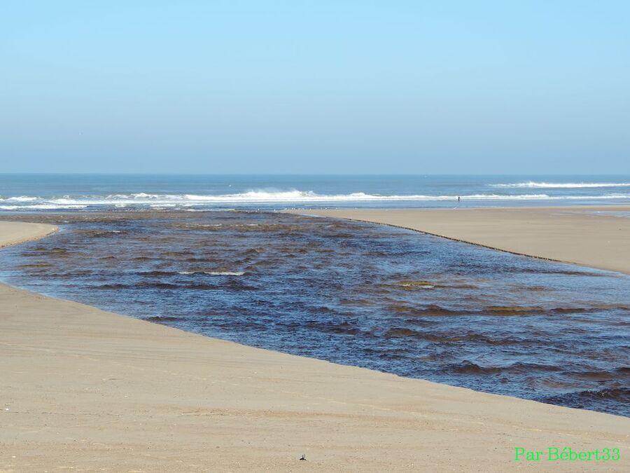 le courant d'Huchet - Landes