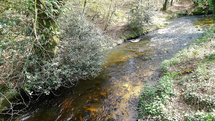 Longer le ruisseau depuis Pont Kerran Languidic (1)