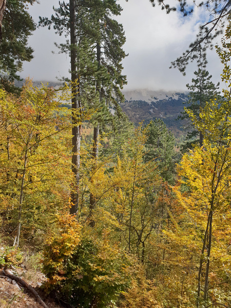 Le circuit du Pic et du Chamois