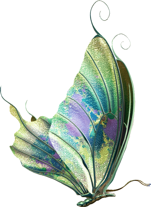 Papillons / 3