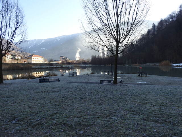 chiens des glace en savoie