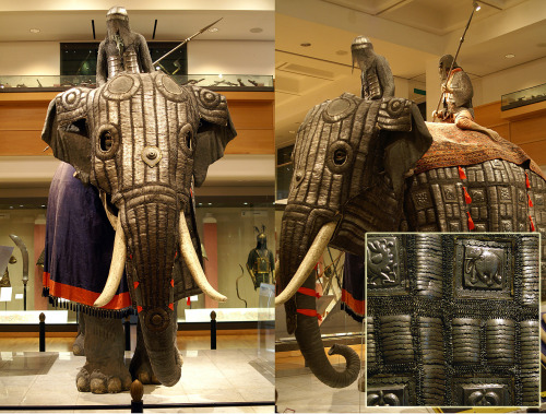 Les éléphants de guerre étaient aussi équipé d'une armure - Cultea