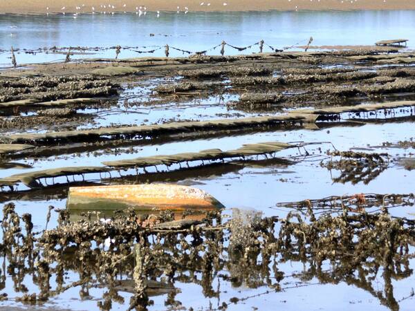 Le lac d' Hossegor