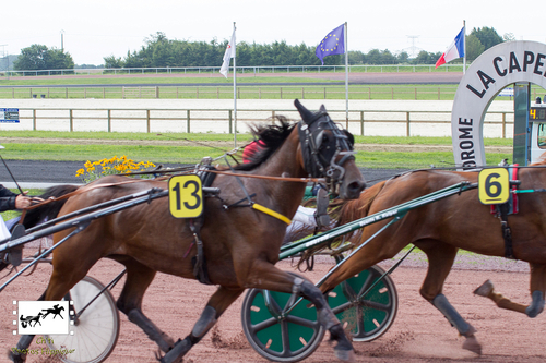 Prix Albert Lefebvre