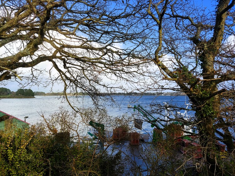 Entre deux giboulées de mars en décembre Balade à Baden golfe du Morbihan (1)