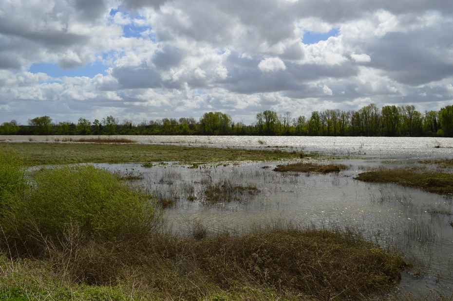 Rando Beaugency/Lestiou