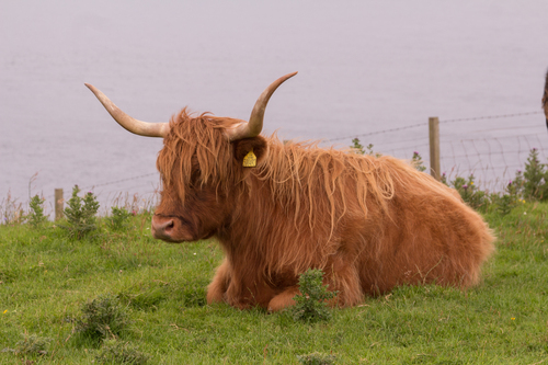 24-07-2016 Visite d'Islay