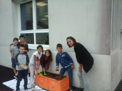 Projet plantations