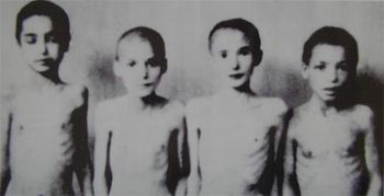 Enfants tsiganes castrés au cours de prétendues "expériences médicales" à Auschwitz-Birkenau, en 1944