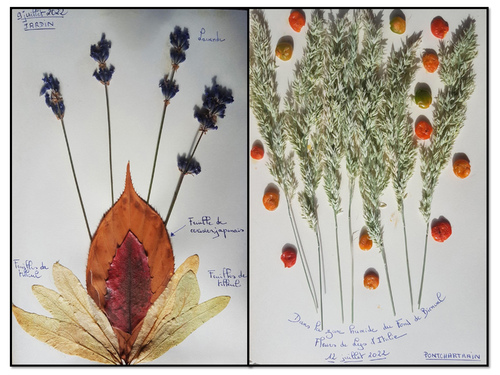 Cahier de composition florale (2)