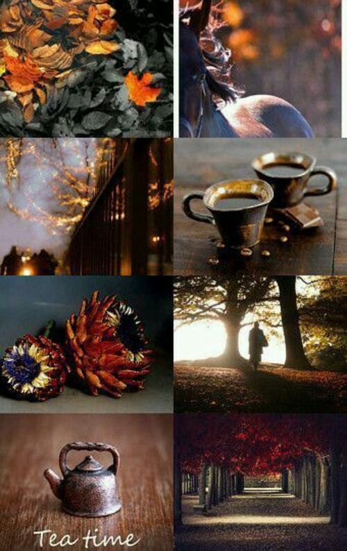 Collages d'automne