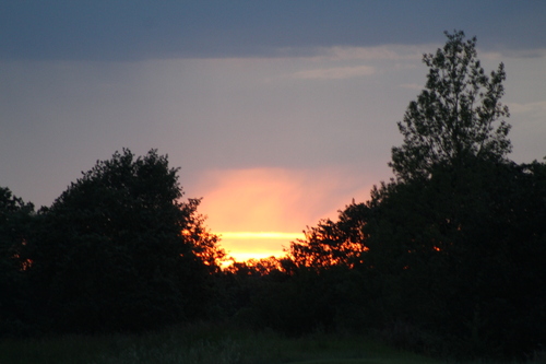 A photo on a sunset 