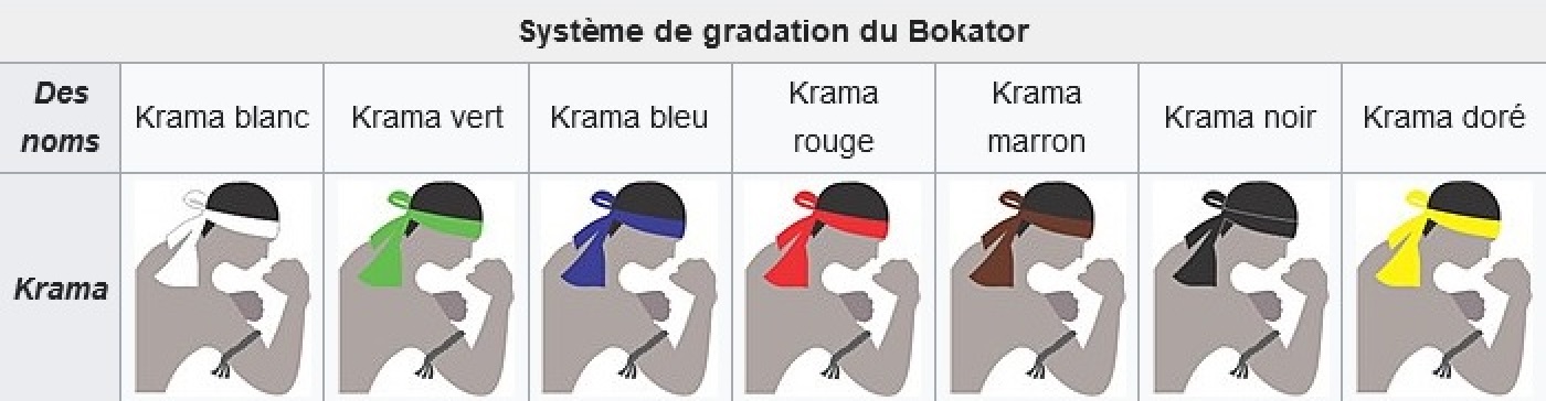 Bokator, système de gradation.jpg