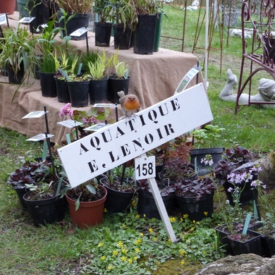 Un merveilleux samedi à St Jean....