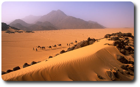 Desert du Teneré Niger