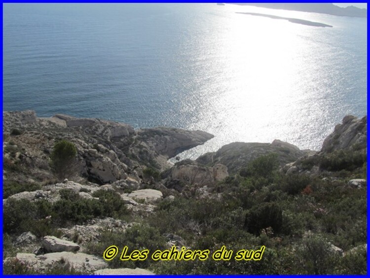 Le renard des calanques suite et ...fin !