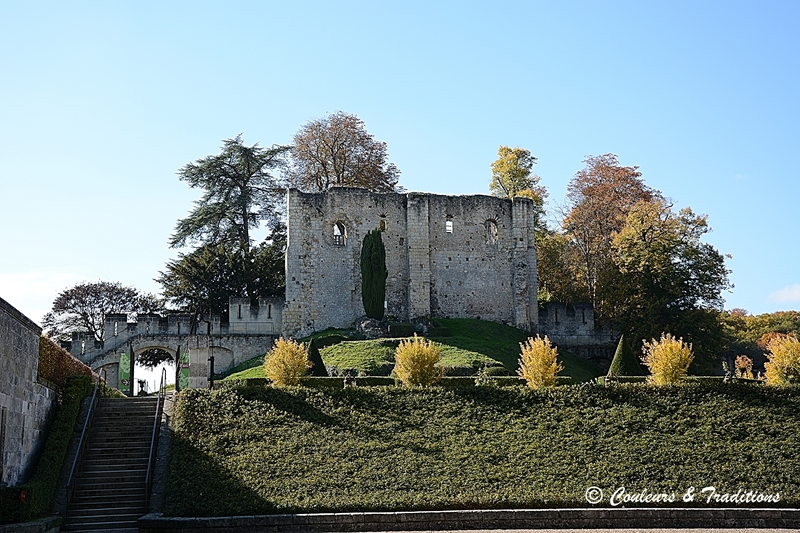 Chateau de Langeais, côté jardin 