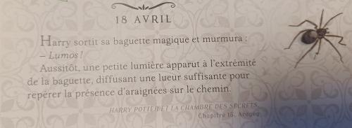 les araignées