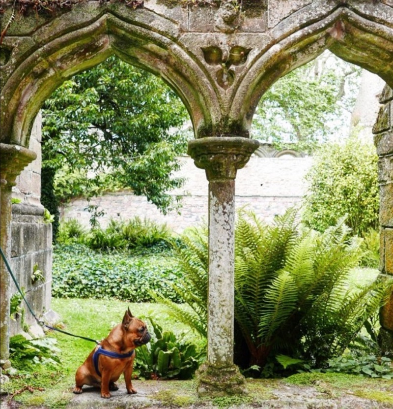 Abbaye de Beauport | Tourisme avec mon chien