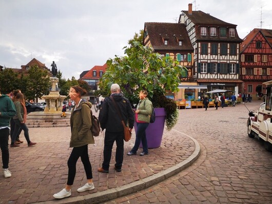 Alsace : Colmar ( 3 )