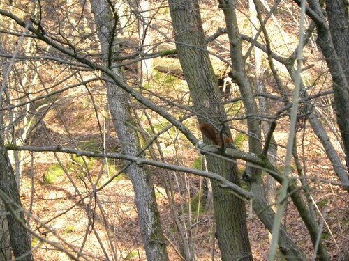 Rencontre en chemin