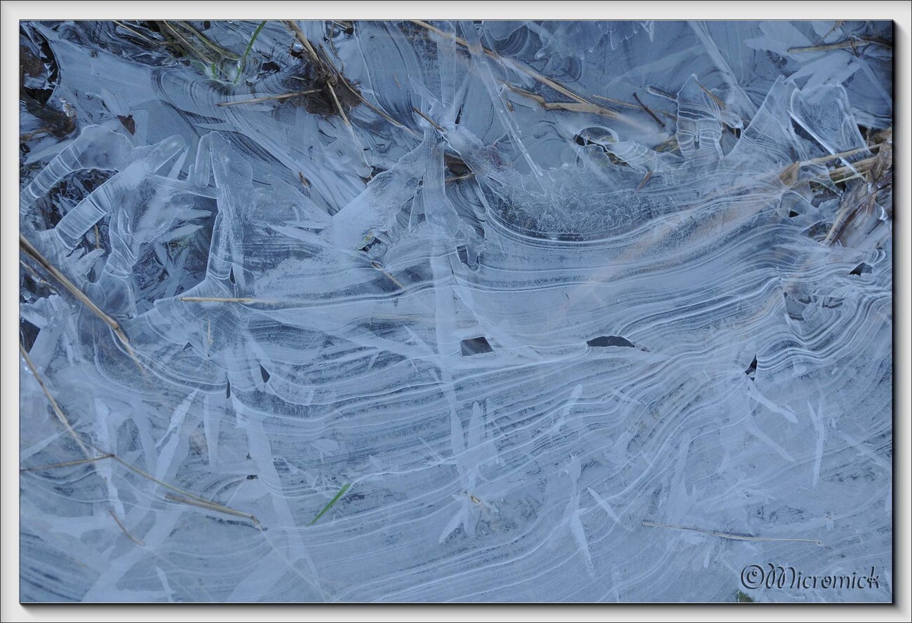 Joyaux de glace