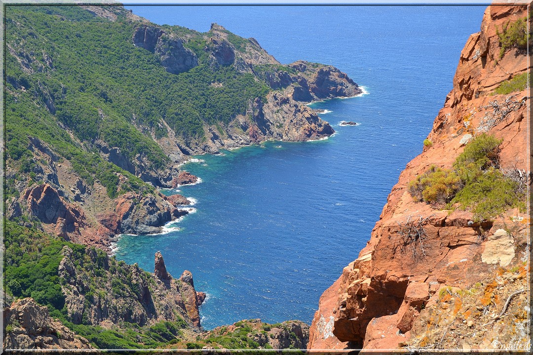 Sur le sentier de Scandola (2)