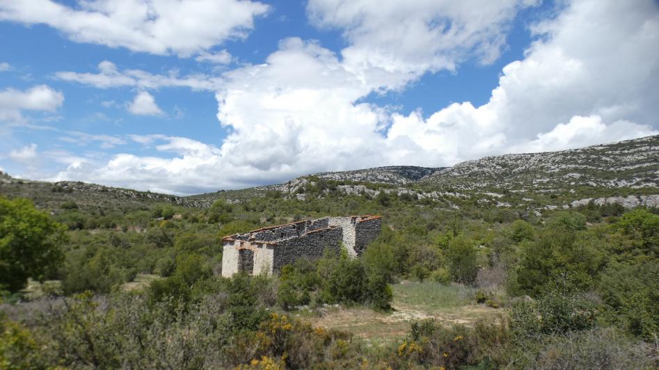 Aucune description de photo disponible.