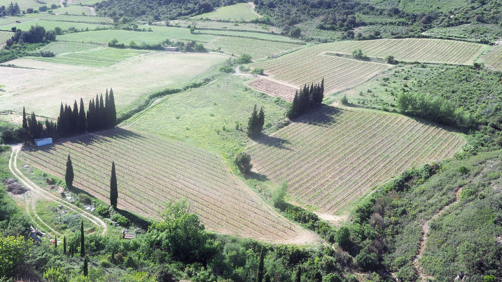 toute cette région me rappelle par ses paysages la Toscane 22/7