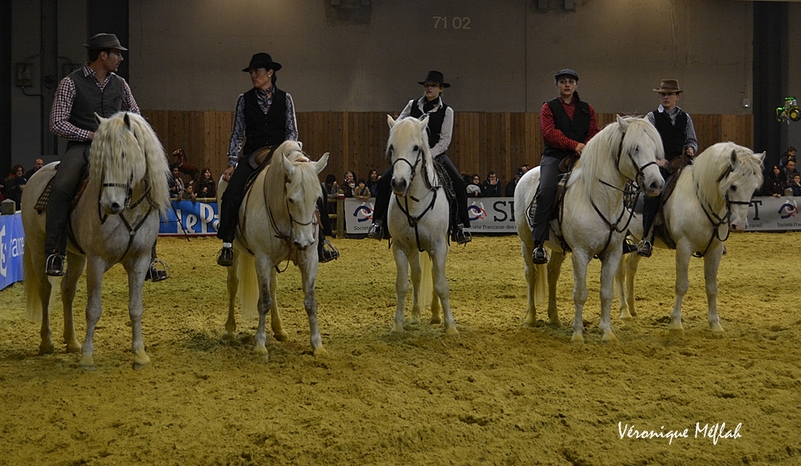 Salon International de l'Agriculture 2015 : Le Camarguais