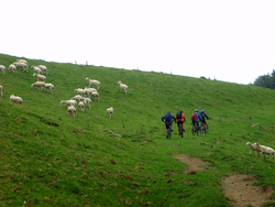 Sortie socio, culturo, sportive au Casque de Lheris