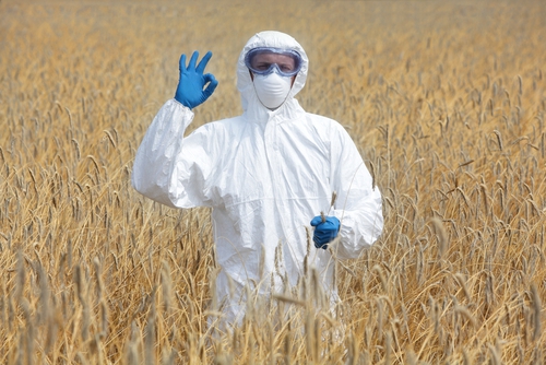 La culture des OGM autorisée dans l'Union Européenne