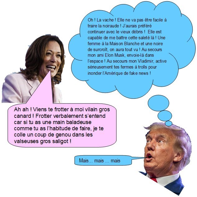 Kamala - Trump