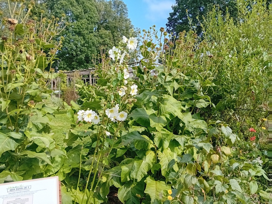  le relec et son potager 