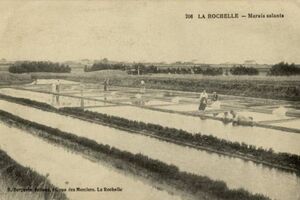 LA ROCHELLE - MARAIS SALANTS - BERGEVIN 206 - 1918
